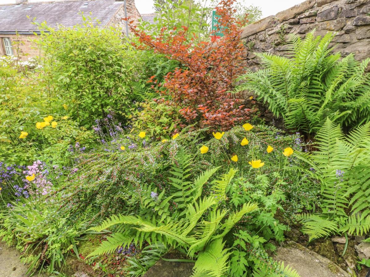 Holly Cottage Matlock  Esterno foto